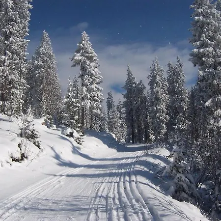 Le Narcisse Lejlighed Crest-Voland