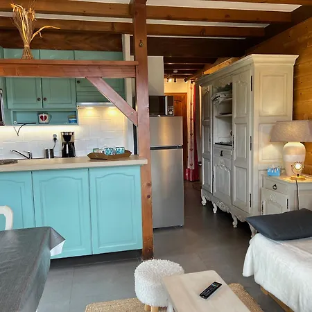 Le Narcisse Lejlighed Crest-Voland